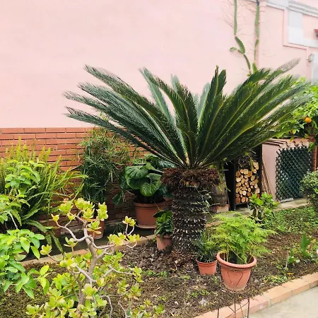 بيت ضيافة La Campidanese مونسيرّاتو